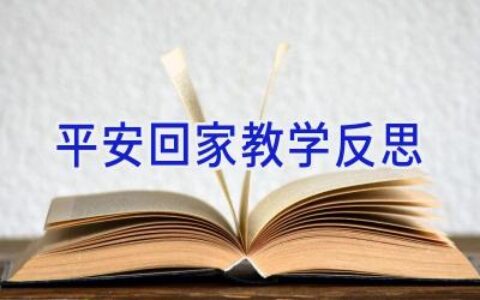 平安回家教学反思