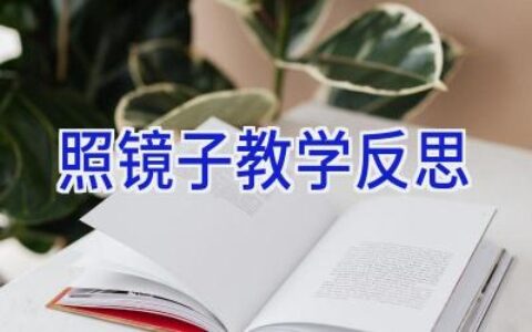 照镜子教学反思