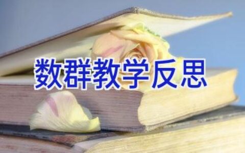 数群教学反思