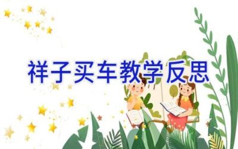 祥子买车教学反思
