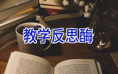 教学反思酶