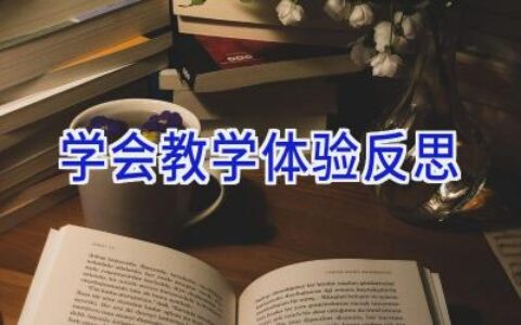 学会教学体验反思