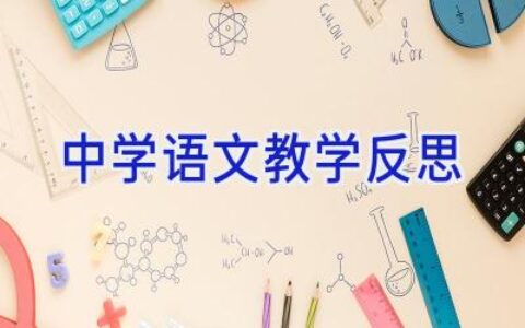 中学语文教学反思