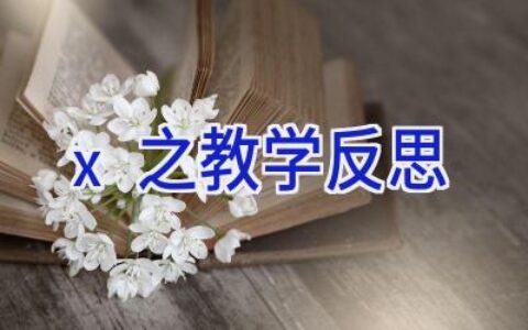 x之教学反思