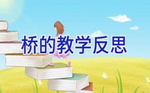 桥的教学反思