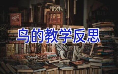 鸟的教学反思