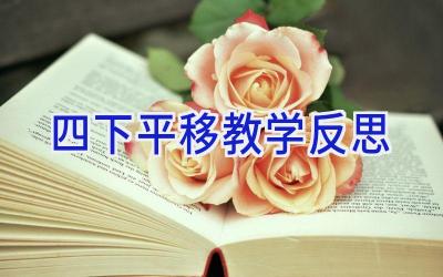 四下平移教学反思