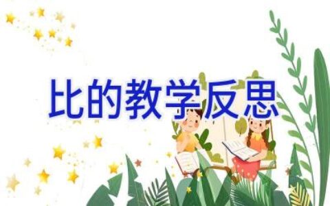 比的教学反思