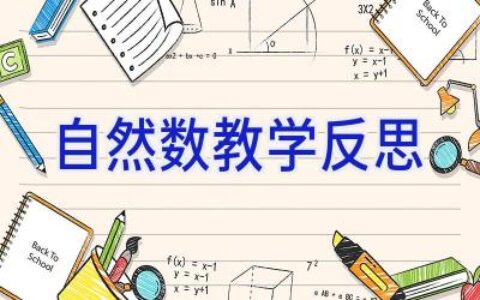 自然数教学反思
