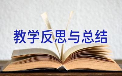 教学反思与总结