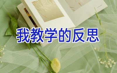 我教学的反思