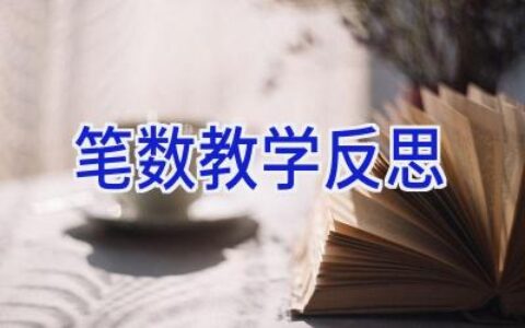 笔数教学反思