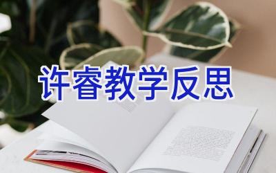 许睿教学反思