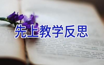 先上教学反思