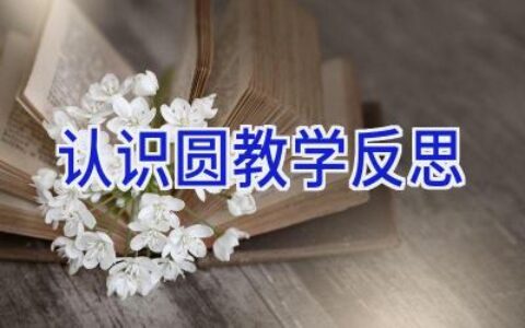 认识圆教学反思