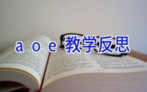 aoe教学反思