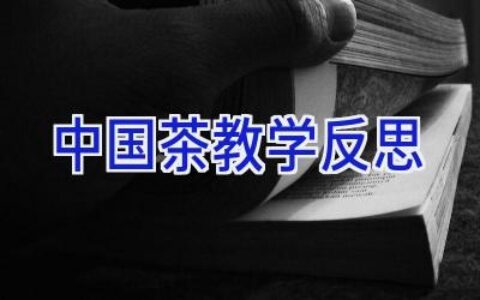中国茶教学反思