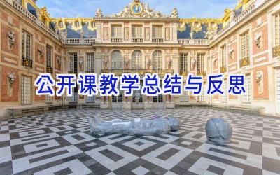 公开课教学总结与反思