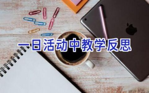 一日活动中教学反思