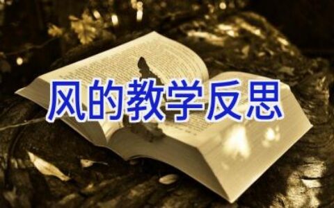 风的教学反思