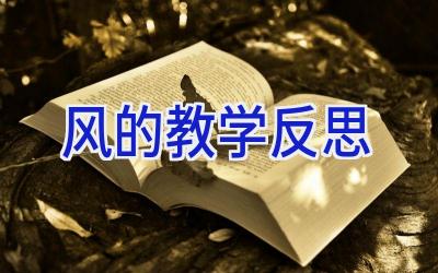 风的教学反思