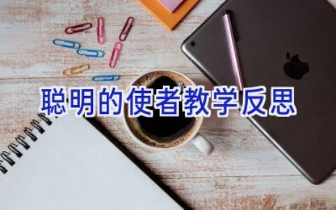 聪明的使者教学反思