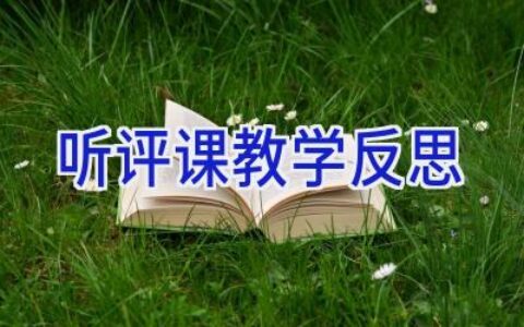 听评课教学反思