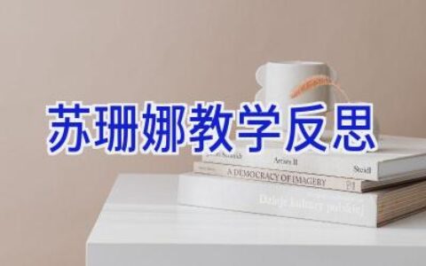 苏珊娜教学反思
