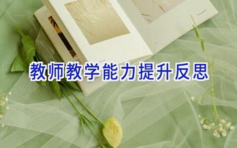 教师教学能力提升反思