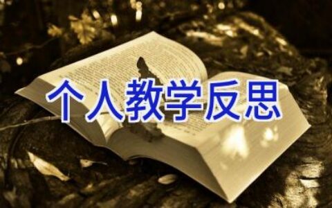 个人教学反思