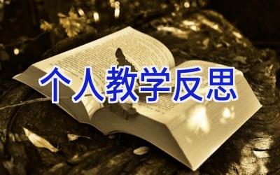 个人教学反思