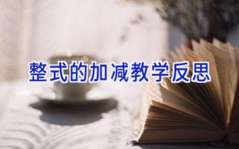 整式的加减教学反思