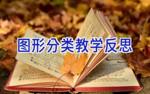 图形分类教学反思