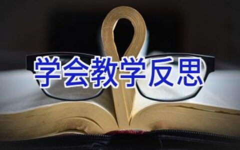 学会教学反思