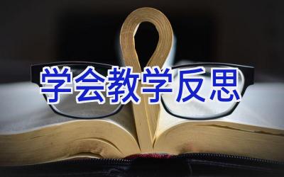 学会教学反思