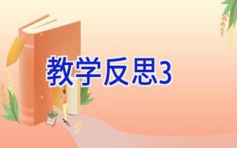 教学反思3