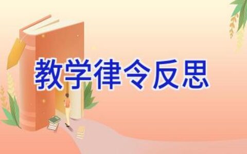 教学律令反思