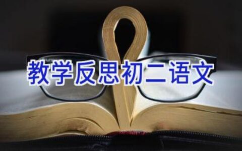 教学反思初二语文