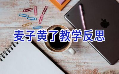 麦子黄了教学反思