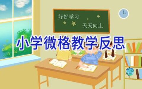小学微格教学反思
