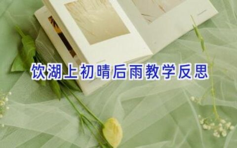 饮湖上初晴后雨教学反思