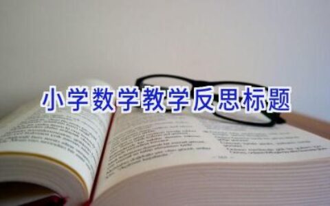 小学数学教学反思标题