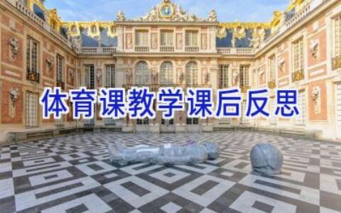体育课教学课后反思