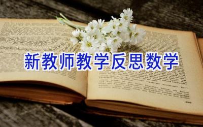 新教师教学反思数学