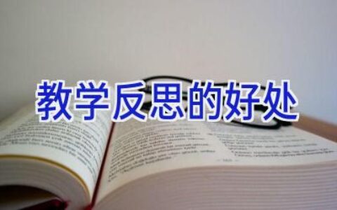 教学反思的好处