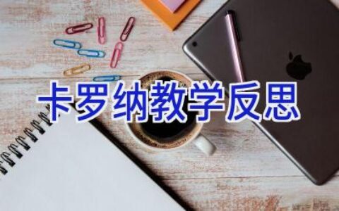卡罗纳教学反思
