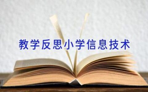 教学反思小学信息技术