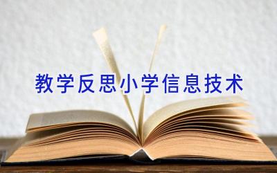 教学反思小学信息技术