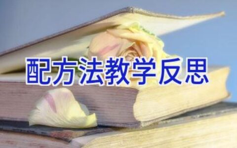 配方法教学反思