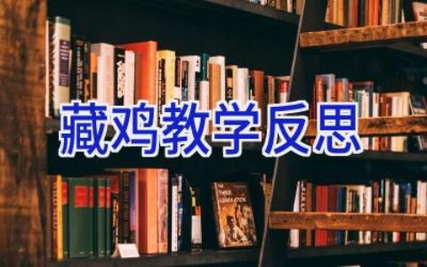 藏鸡教学反思